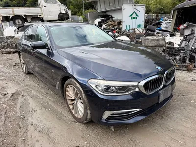 BMW 5-Series G30 8730